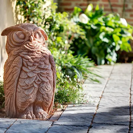 Casa Bellavista 4* Cortona