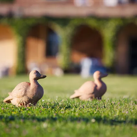Casa Bellavista Frühstückspension Cortona