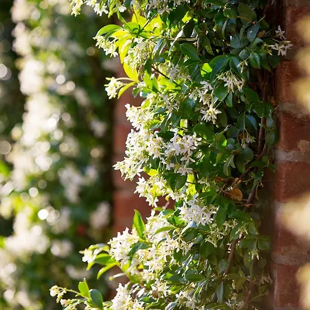 Frühstückspension Casa Bellavista Cortona