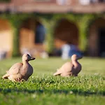 Casa Bellavista Bed & Breakfast Cortona