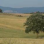 Casa Bellavista Frühstückspension