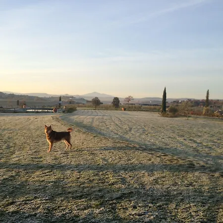 Casa Bellavista Cortona