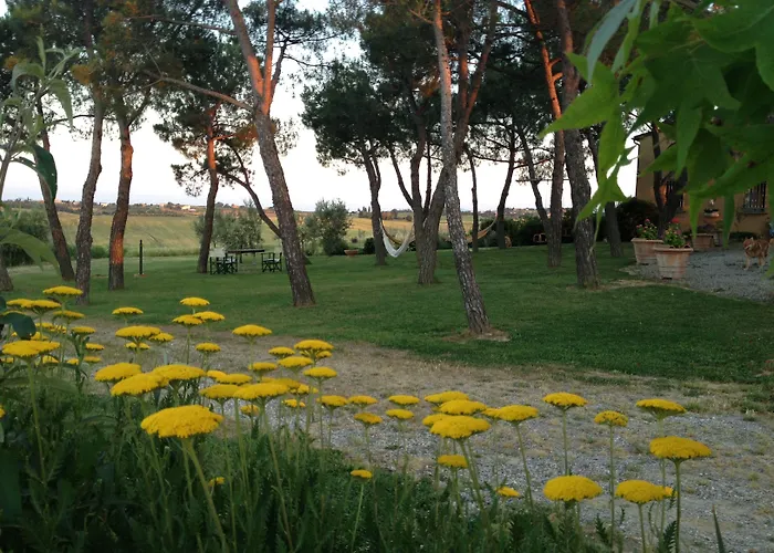 Casa Bellavista לינה וארוחת בוקר קורטונה