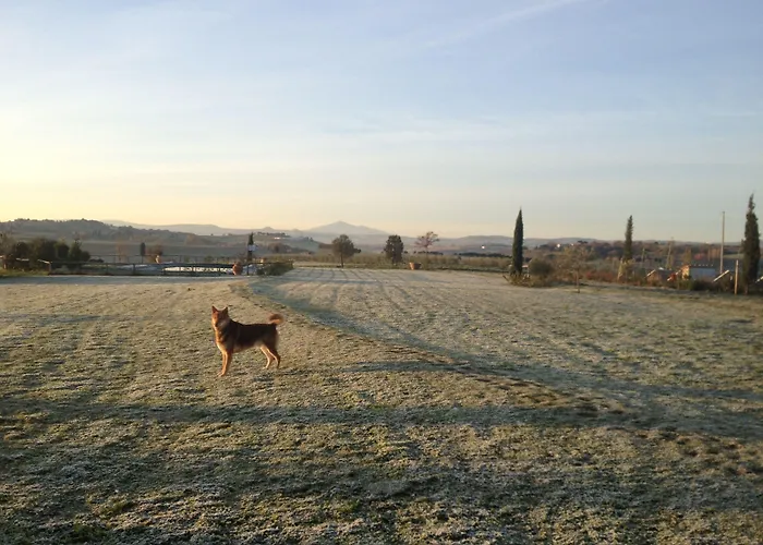 Casa Bellavista קורטונה