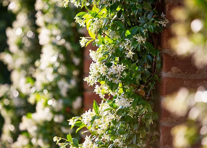 לינה וארוחת בוקר Casa Bellavista קורטונה