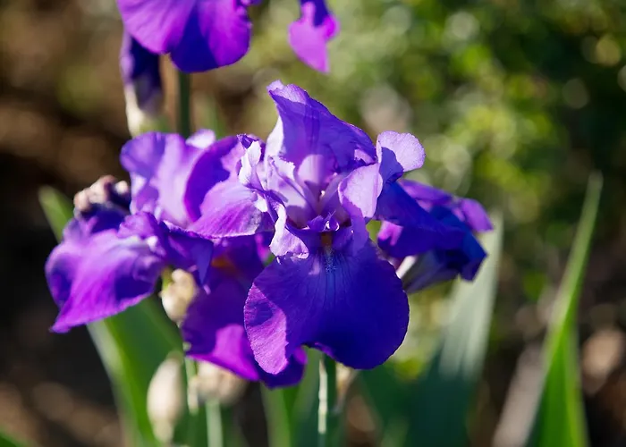 Casa Bellavista Кортона