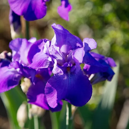 Casa Bellavista Cortona